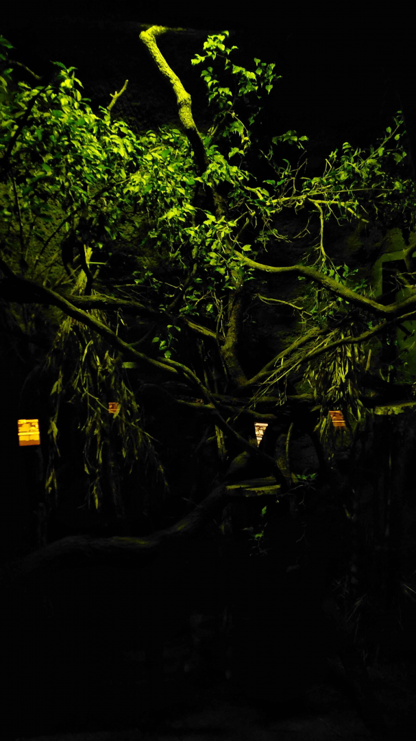 Cuscus exhibit - lights off