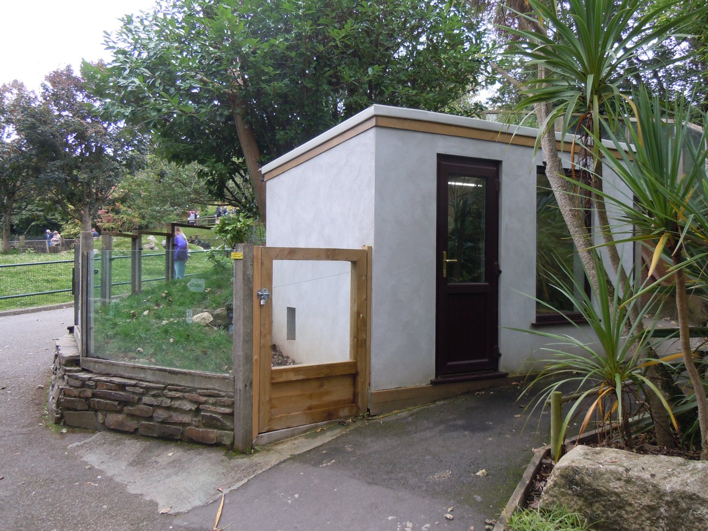 Cusimanse enclosure 070920