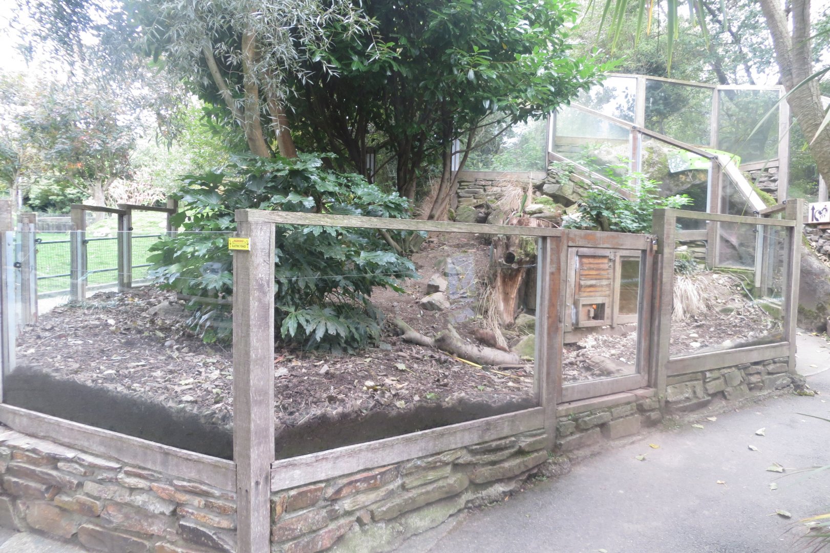 Cusimanse enclosure 081018