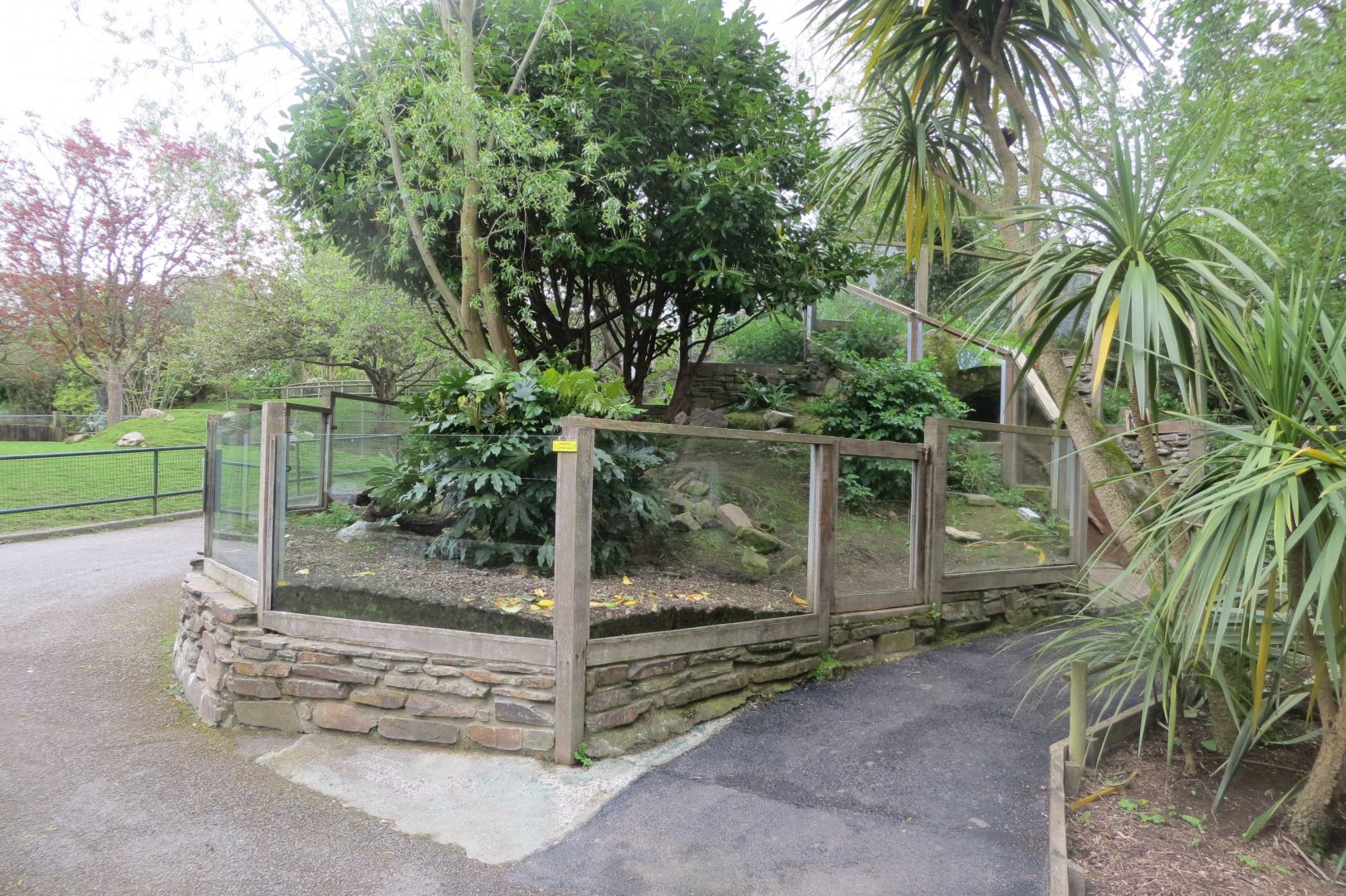 Cusimanse enclosure 290419