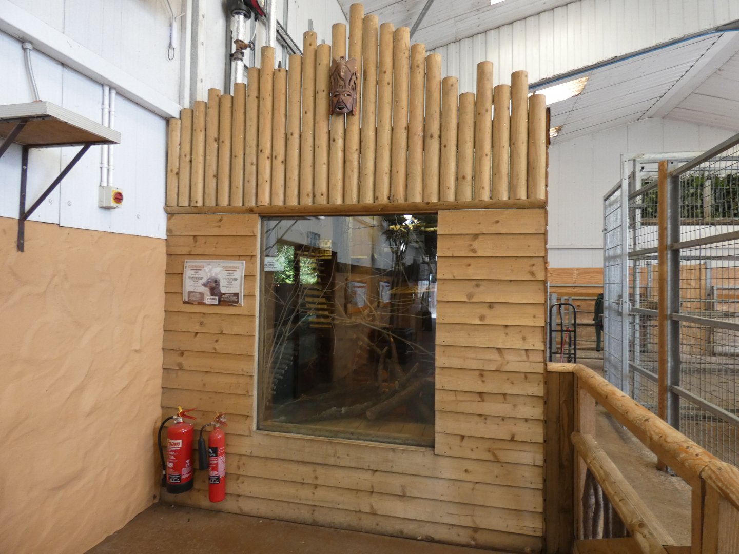 Cusimanse enclosure in Giraffe house