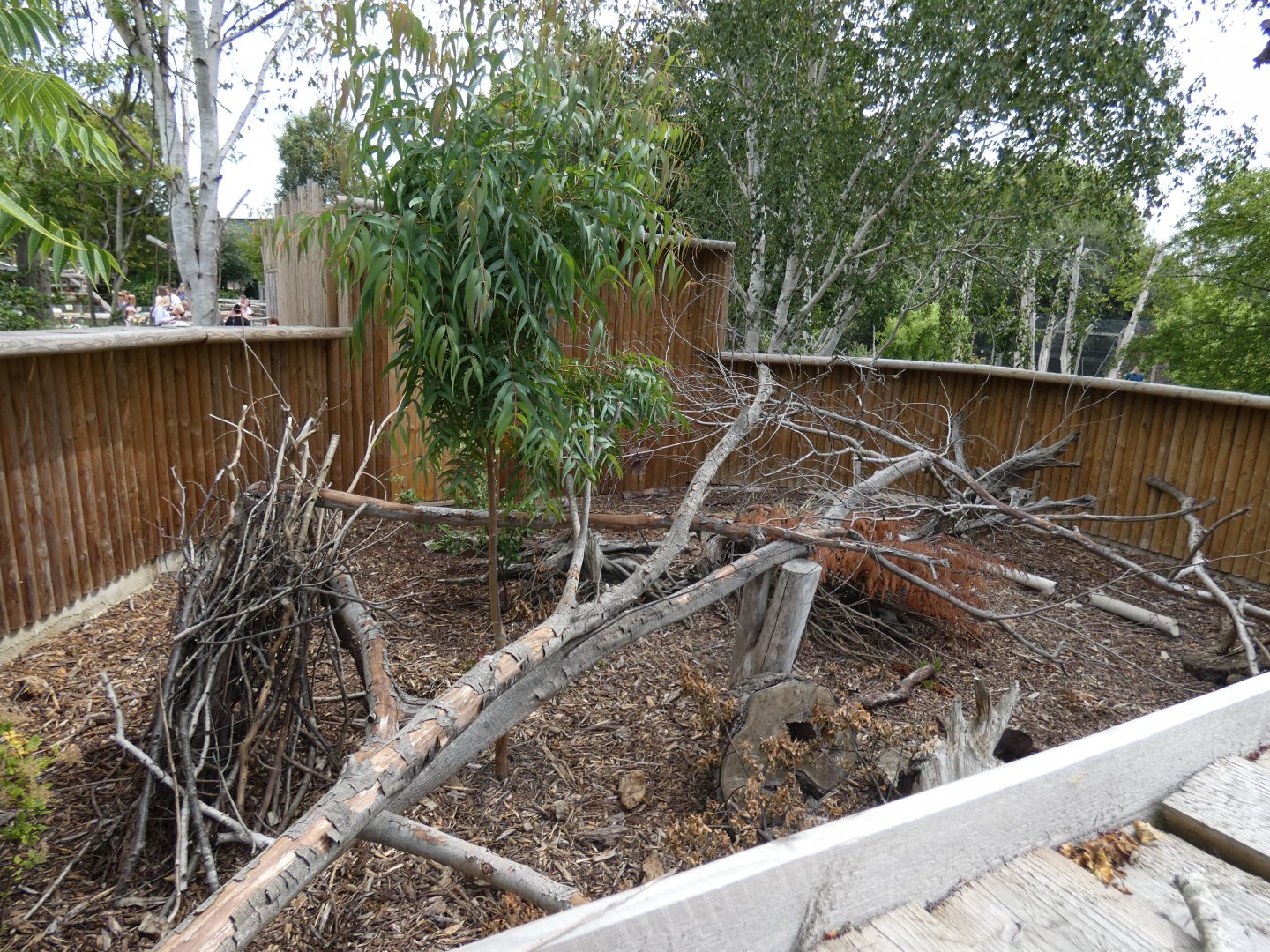 Cusimanse outdoor enclosure