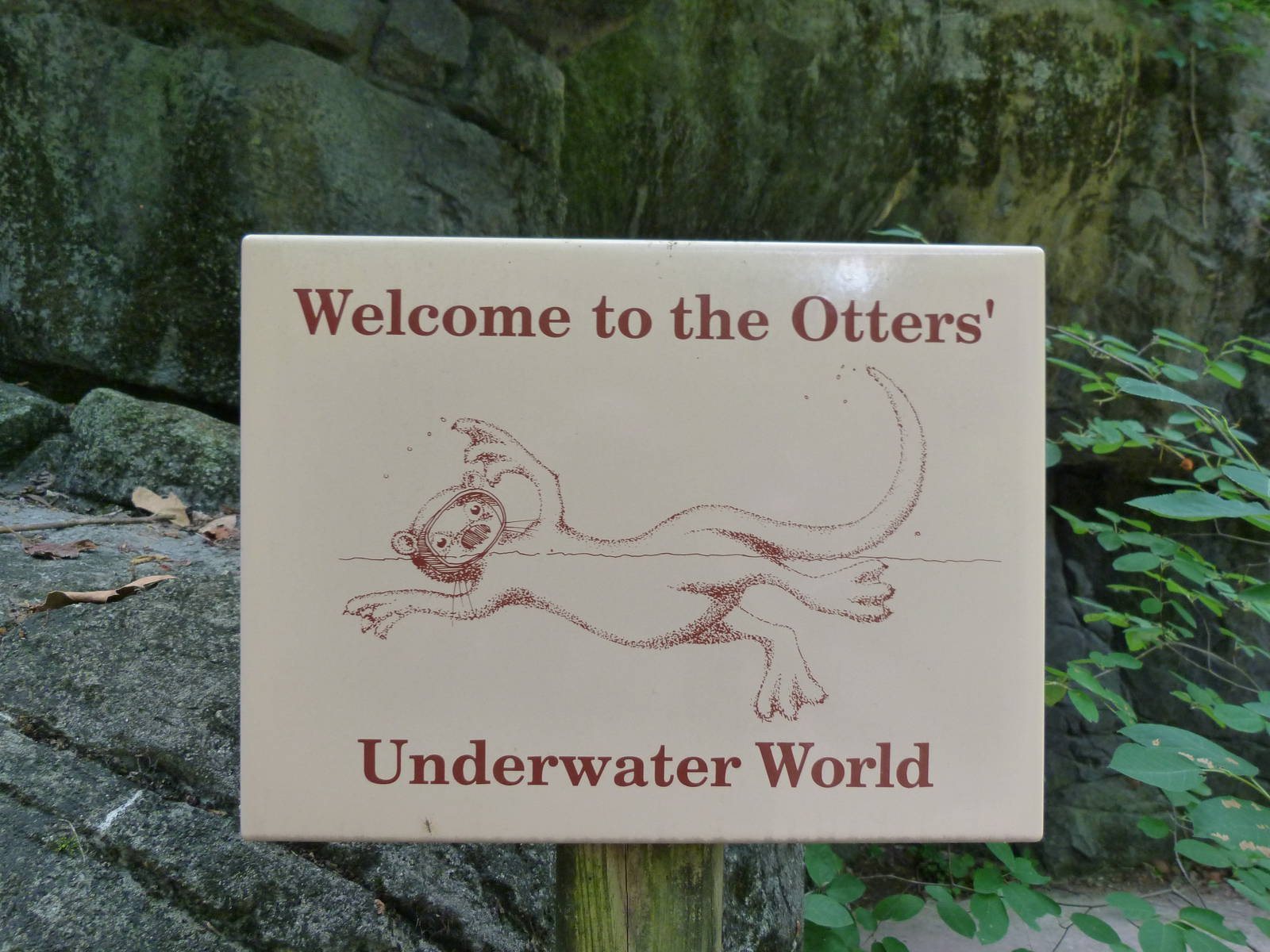 Cute Otter Sign