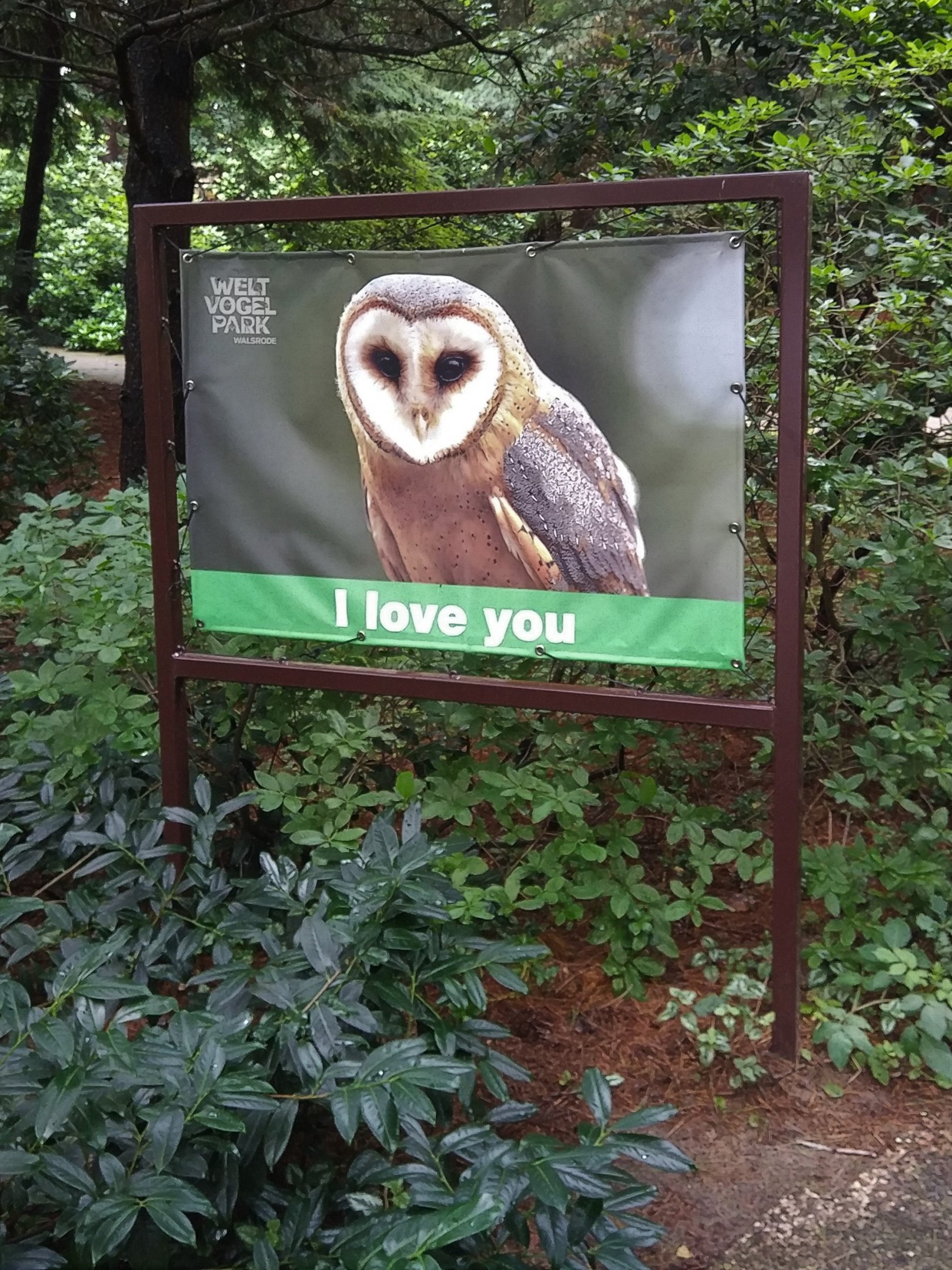 Cute Owl Signage
