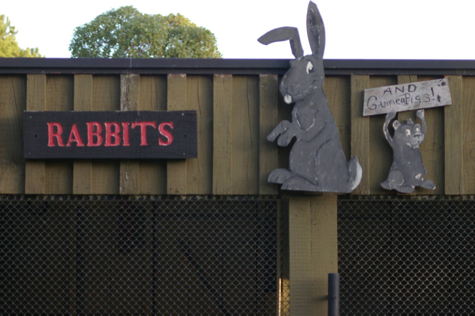 cute rabbit and guinea pig sign
