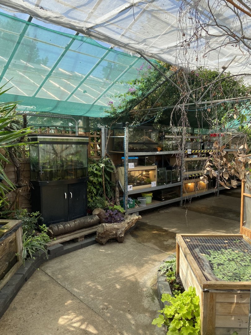 Cutteslowe Park Aviary - Dry Zone Enclosures