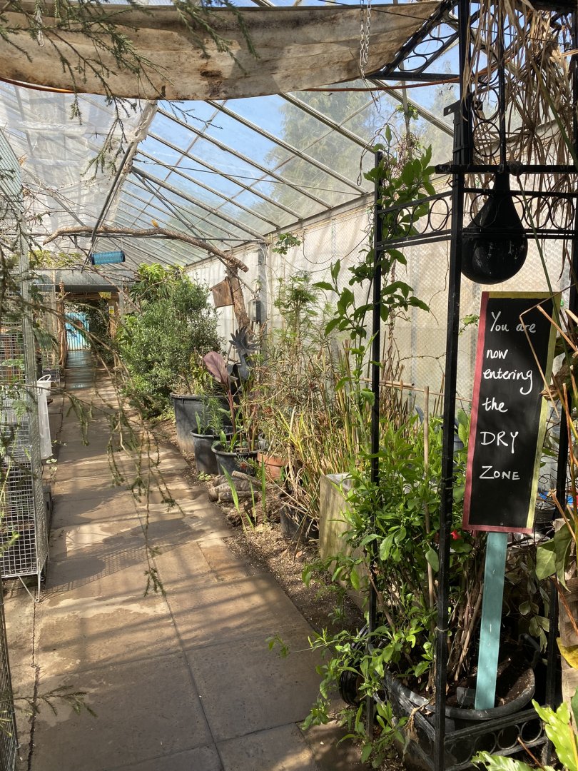 Cutteslowe Park Aviary - Dry Zone View