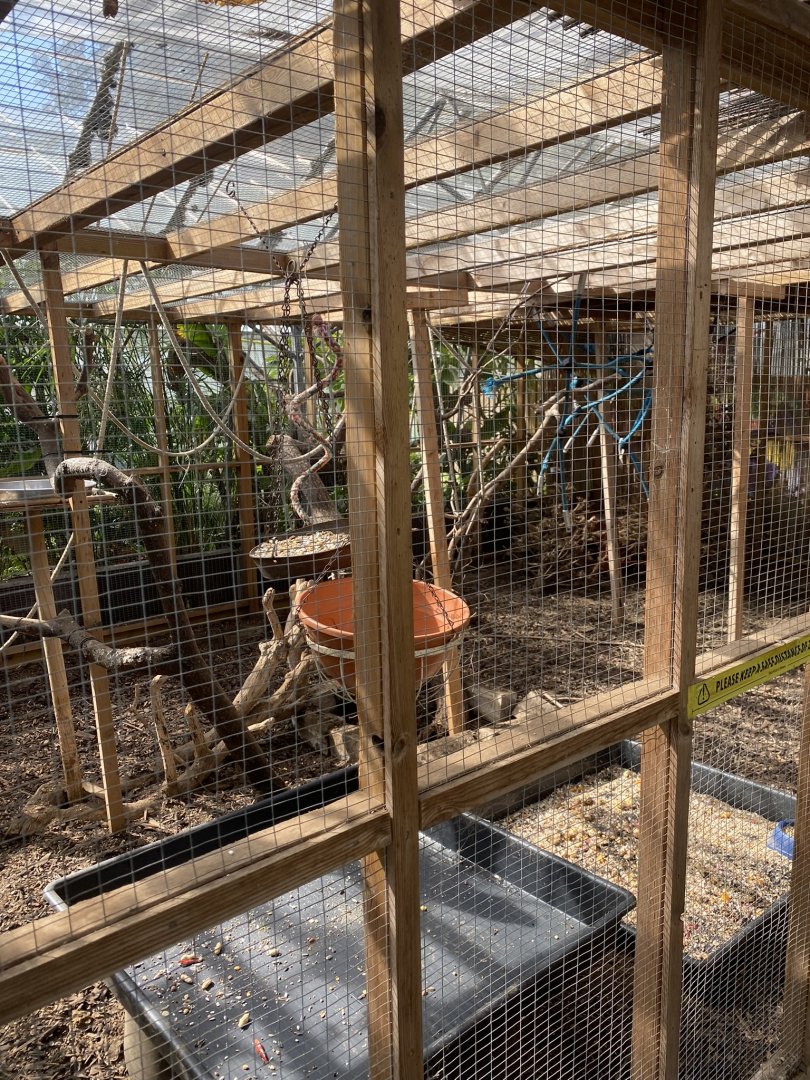Cutteslowe Park Aviary - Large Enclosure