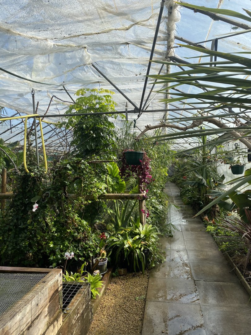 Cutteslowe Park Aviary - View of Aviary / Tropical House