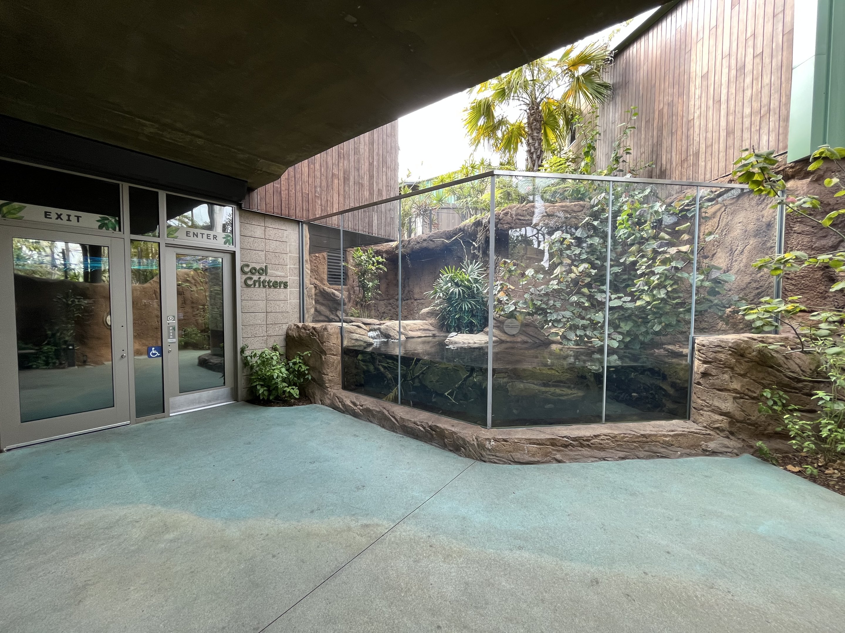 Cuvier’s Dwarf Caiman Exhibit