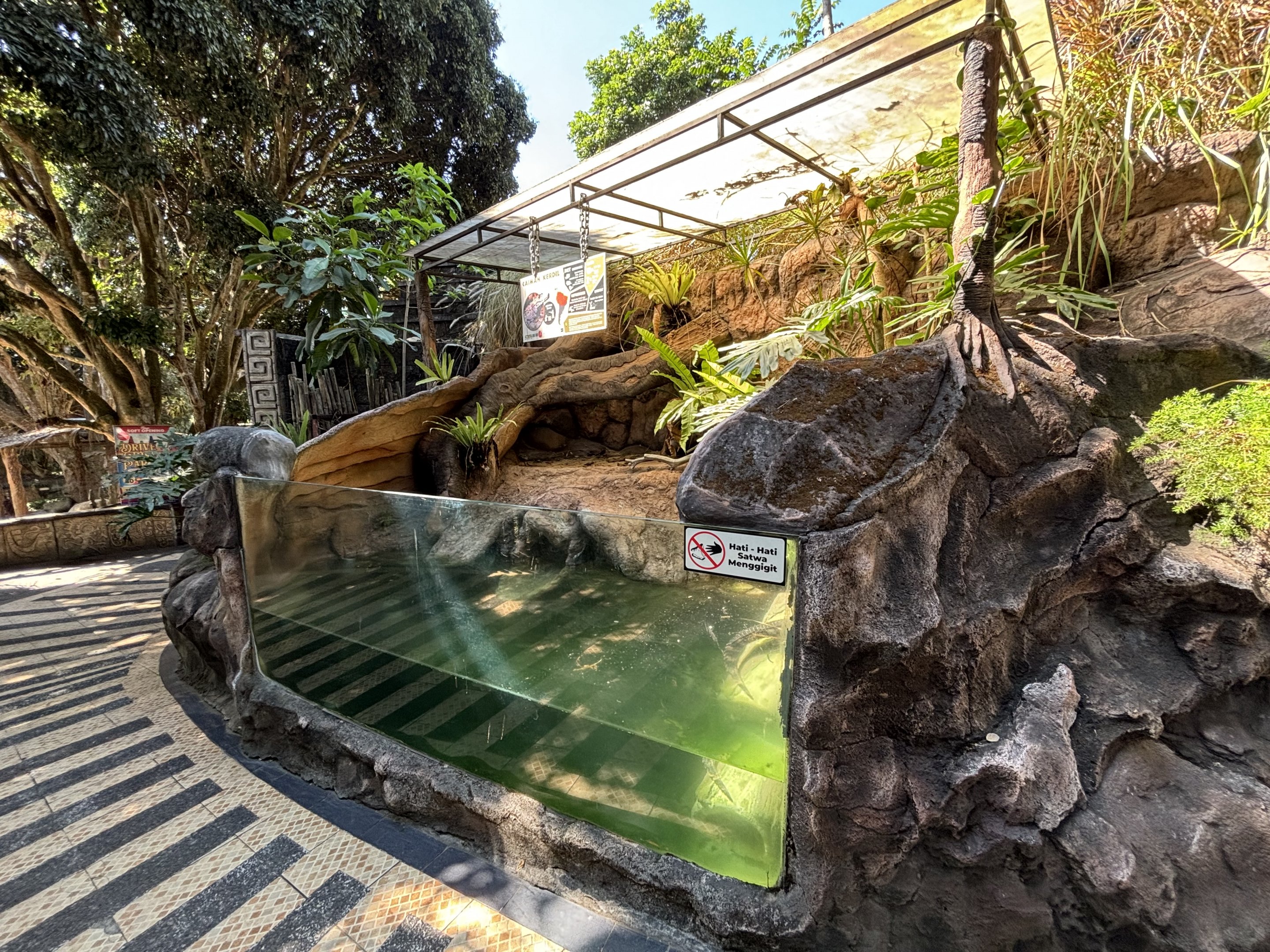 Cuvier’s Dwarf Caiman Exhibit