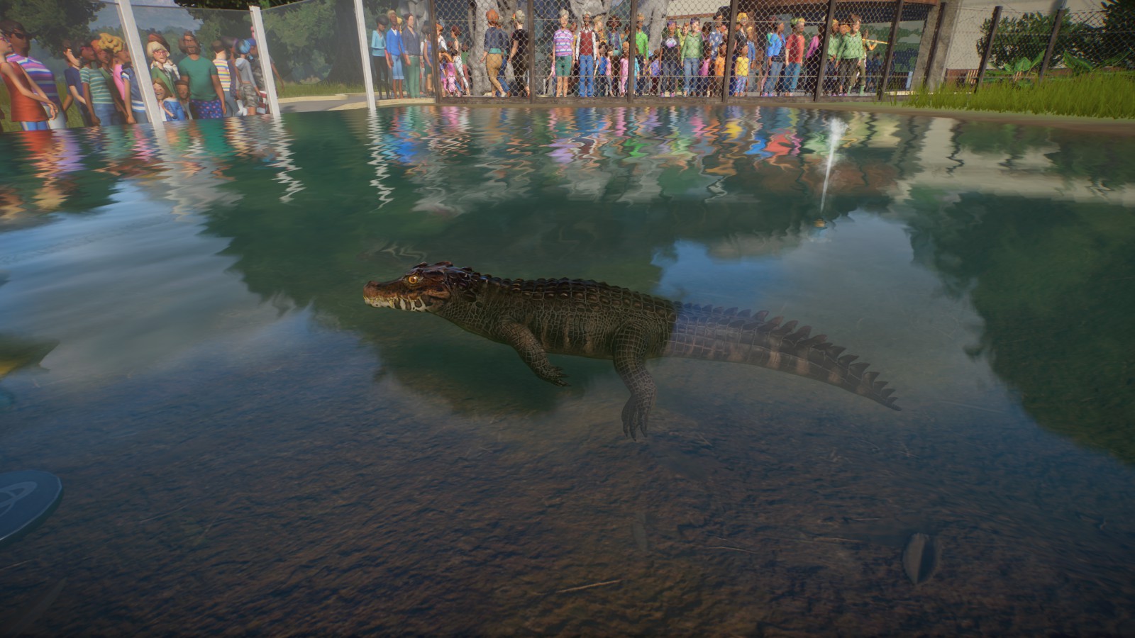 Cuviers Dwarf Caiman