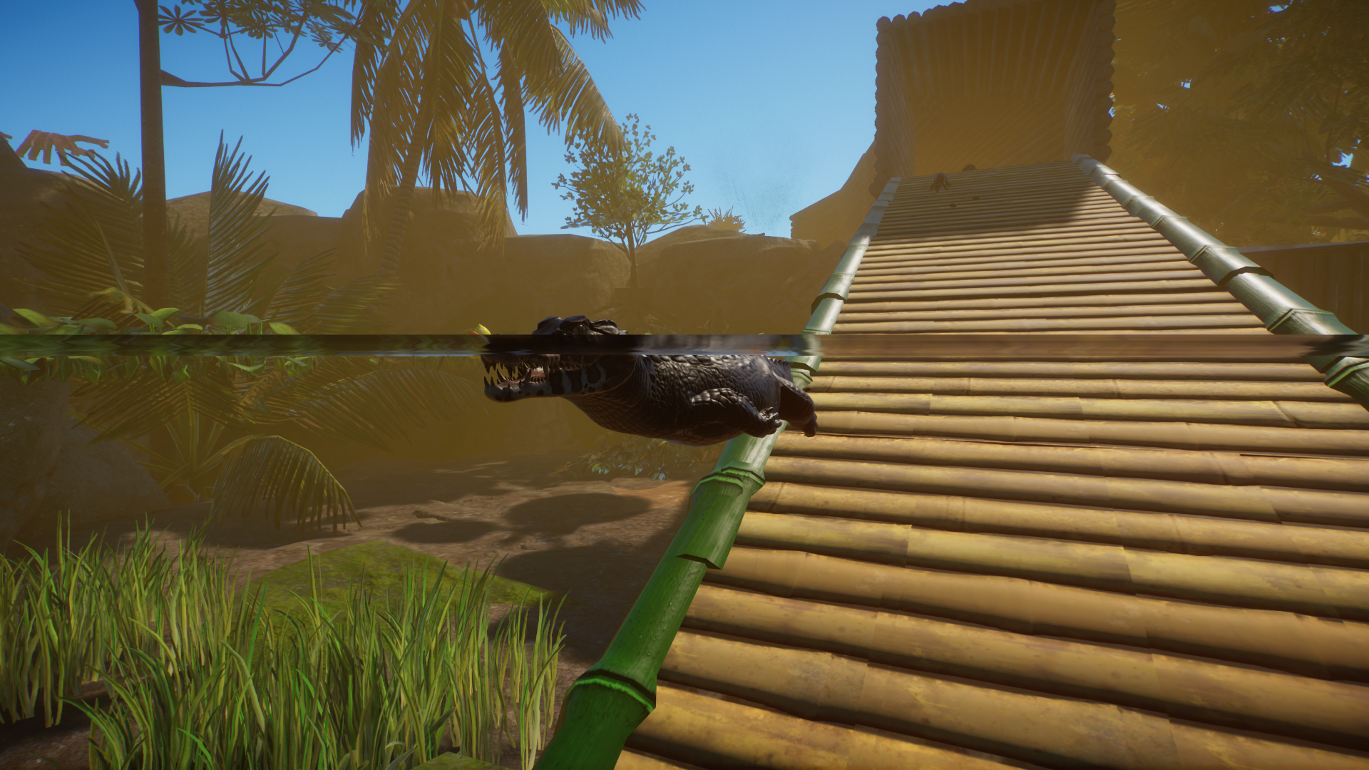 Cuvier's dwarf caiman