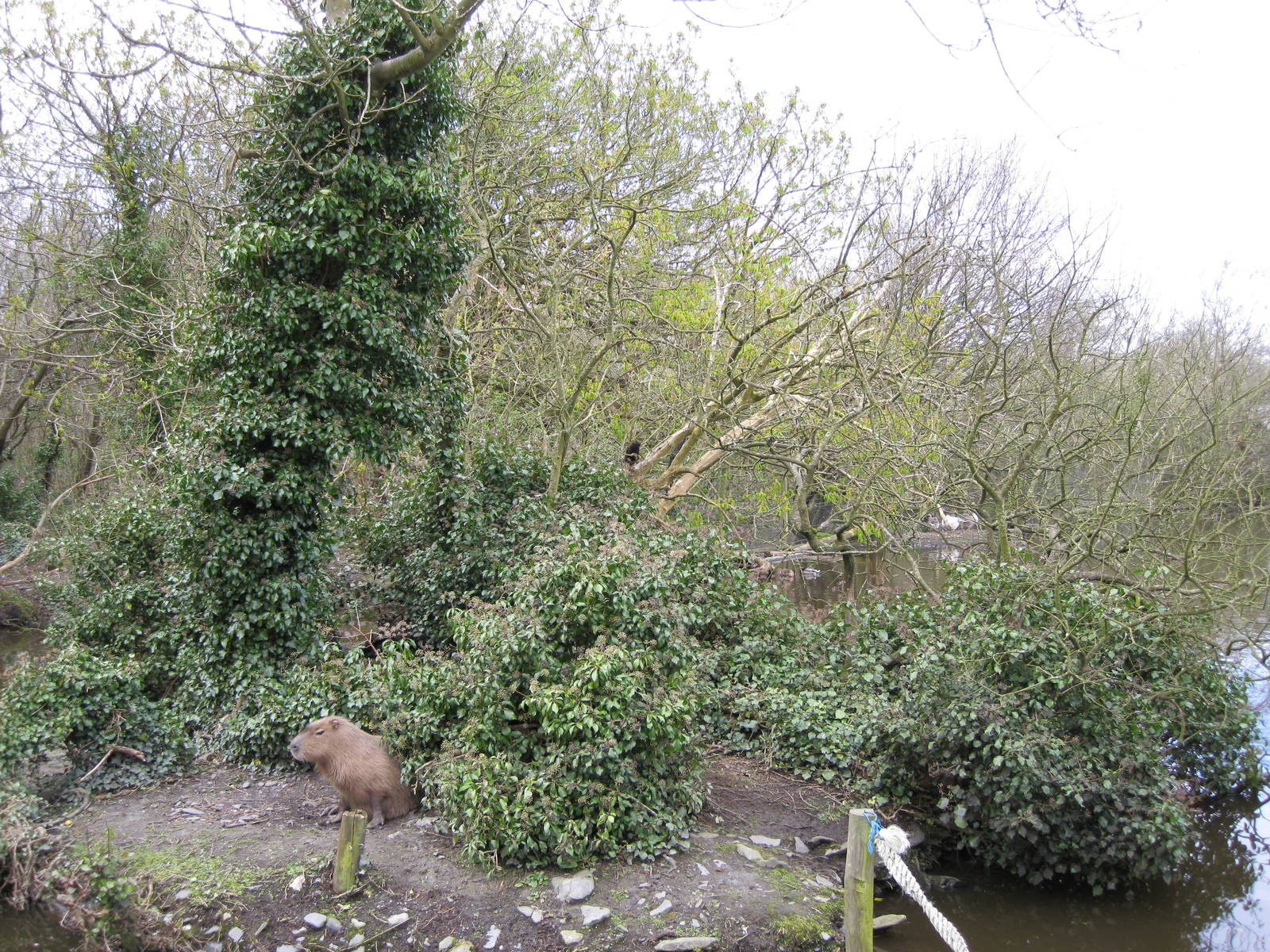 CWP Curraghs Wildlife Park