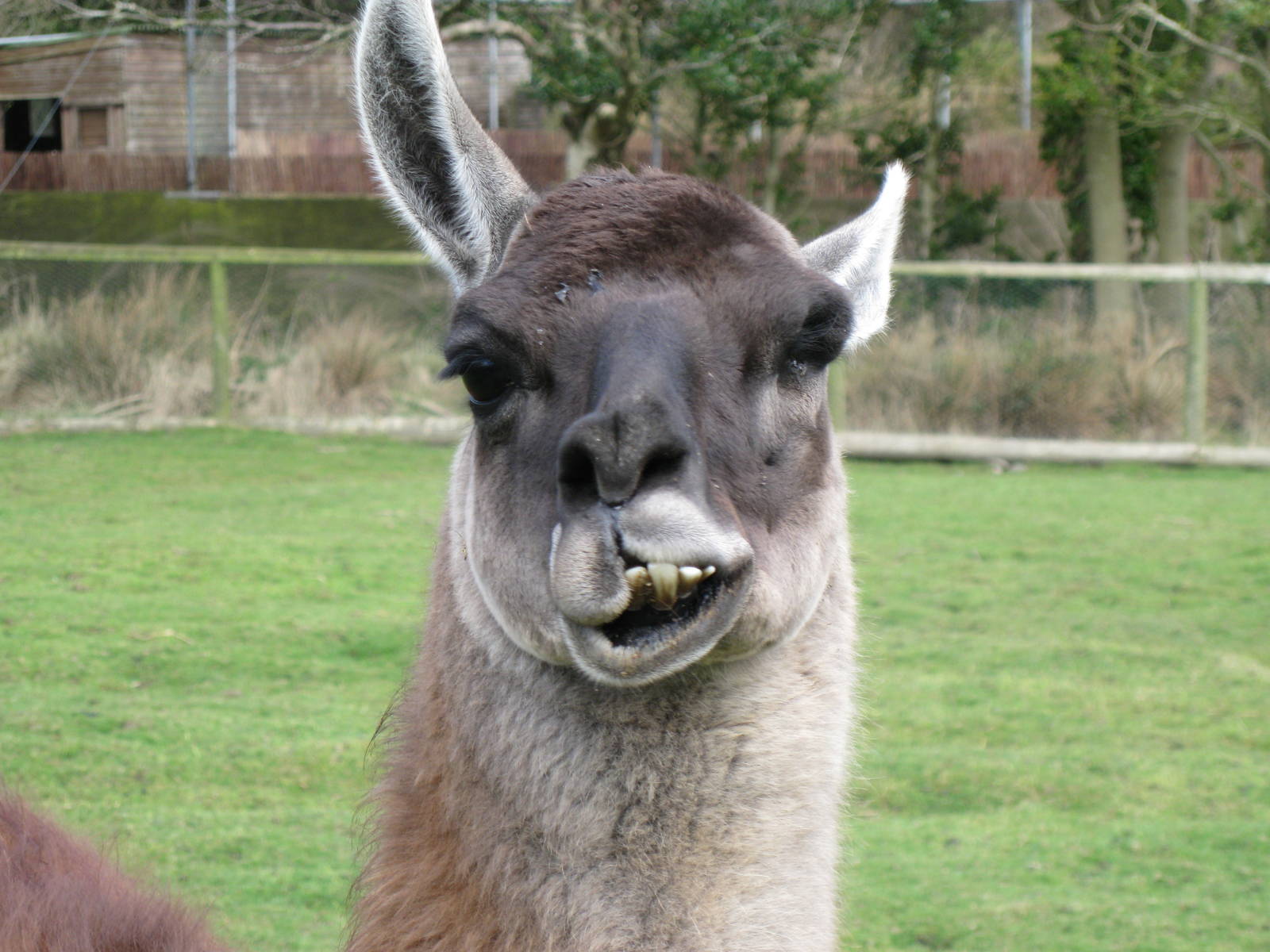 CWP Curraghs Wildlife Park