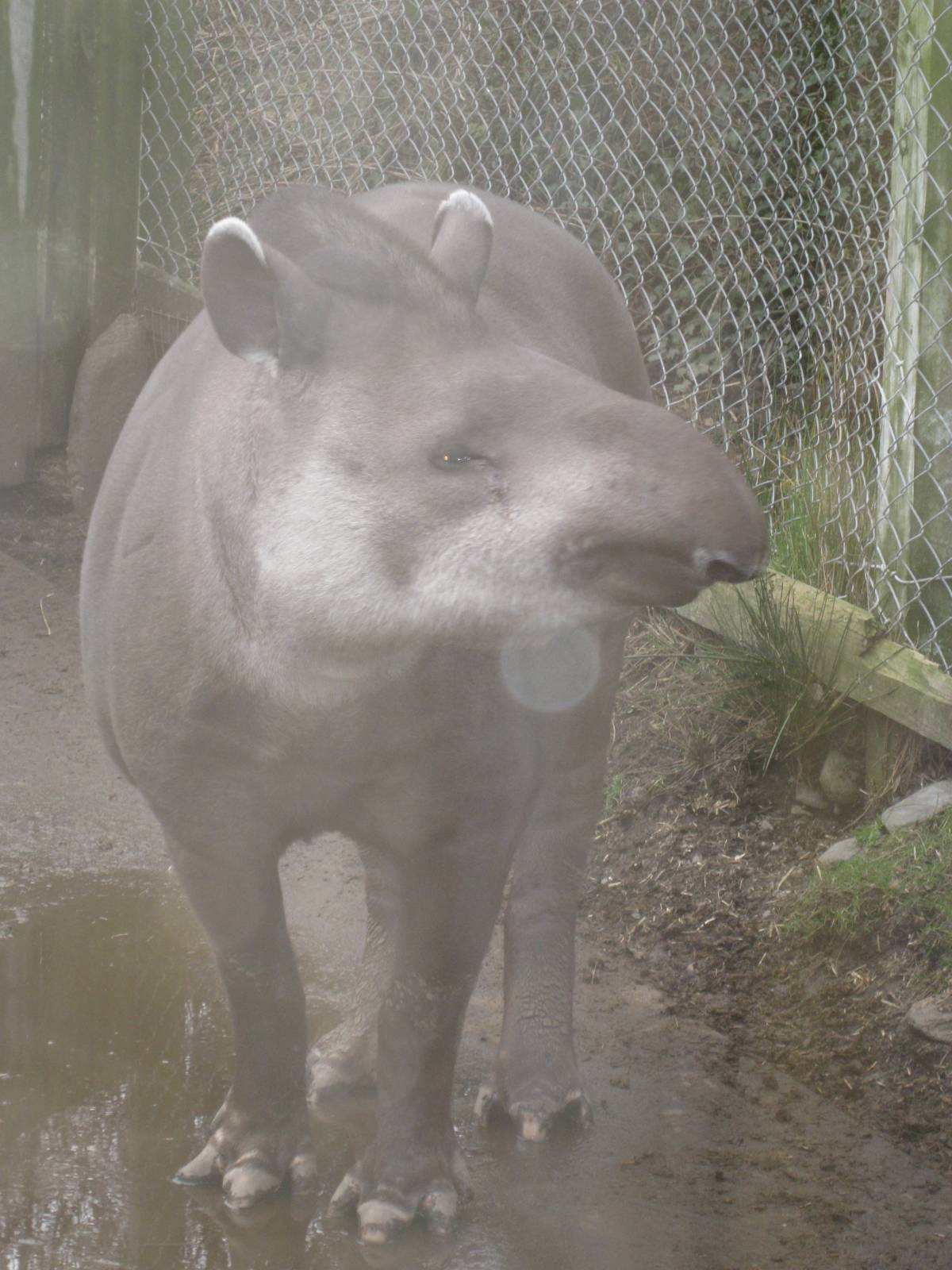 CWP Curraghs Wildlife Park