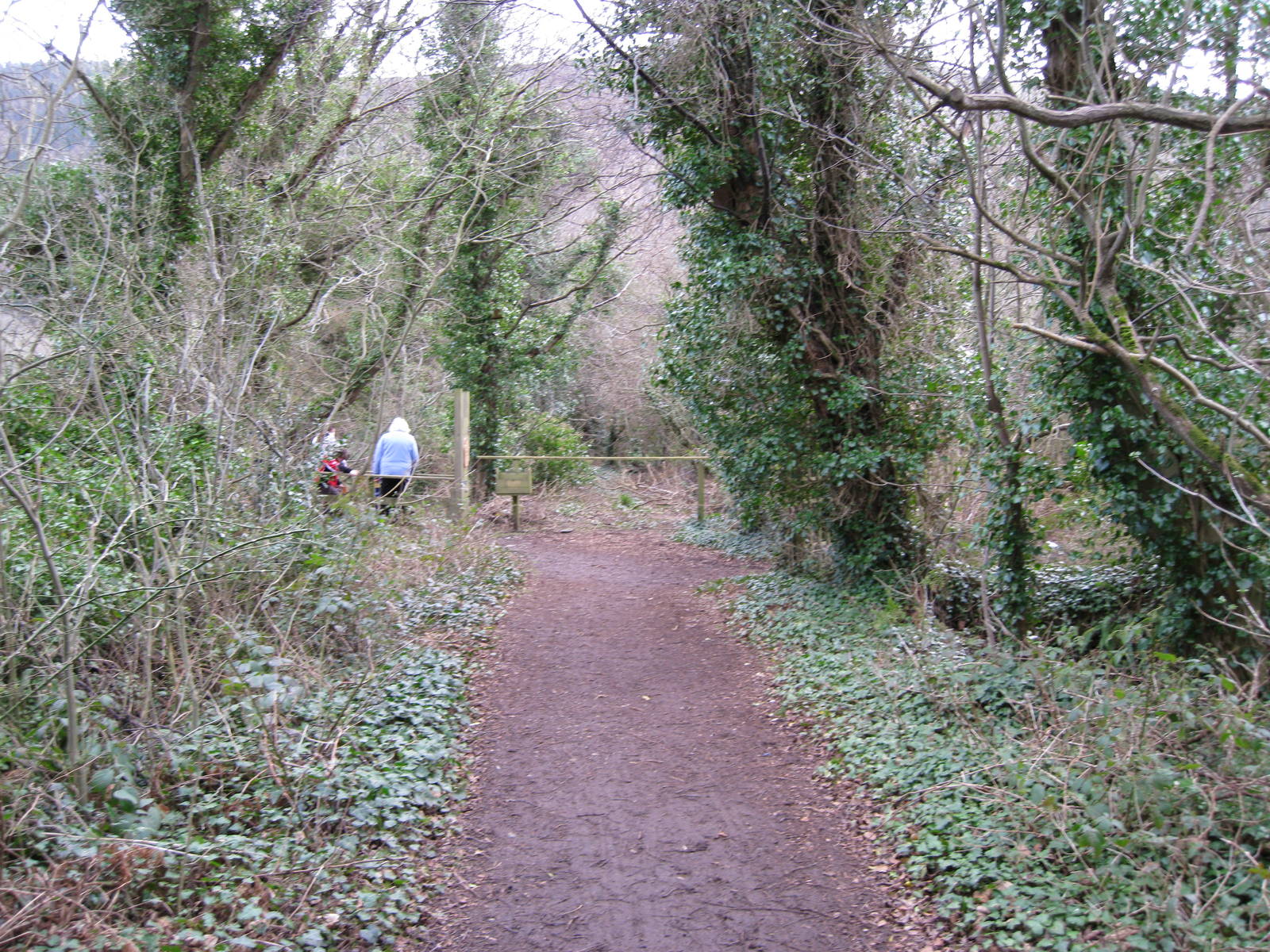 CWP Curraghs Wildlife Park