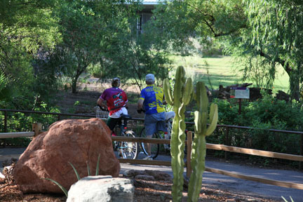 cyclists at cheetah exhibit