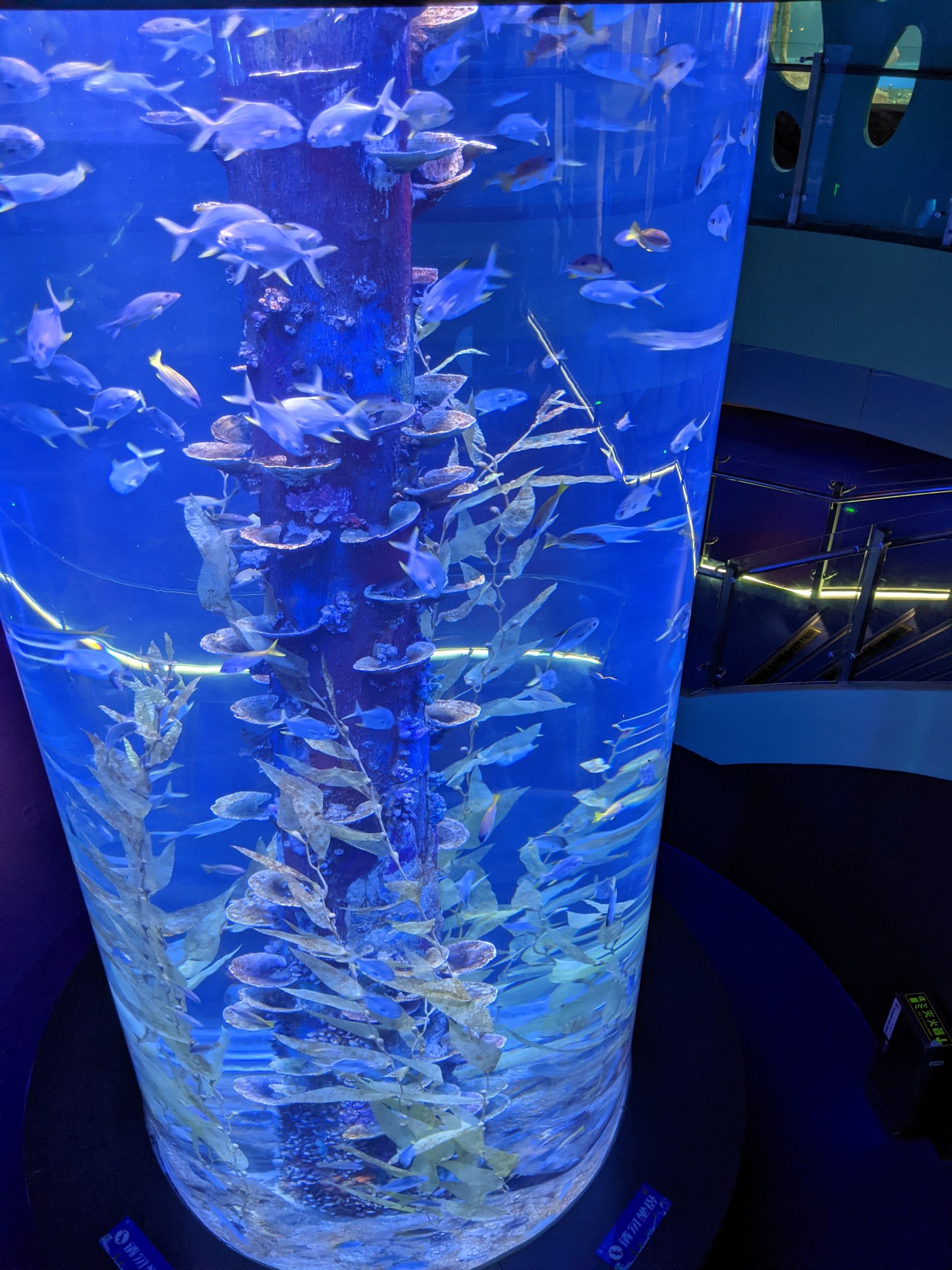 Cylinder tank - Ocean World (Guangzhou)