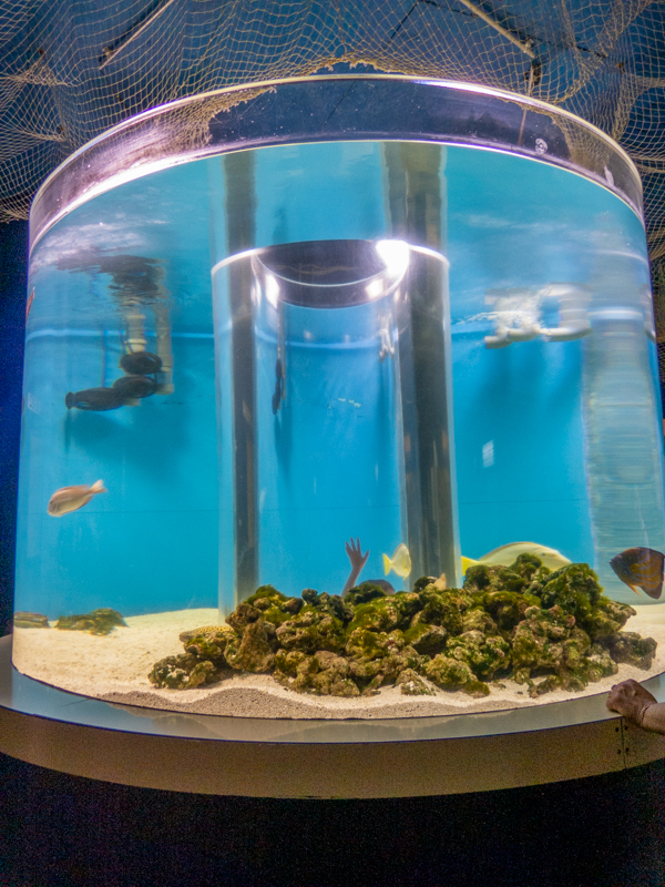 cylinder tank with cylinder for kids