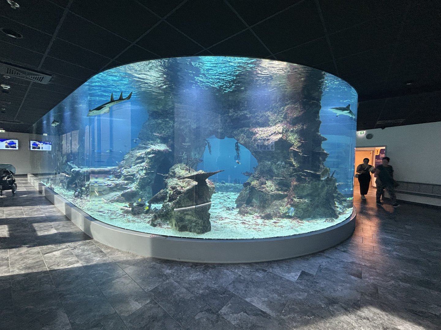 Cylindrical Aquarium Tank