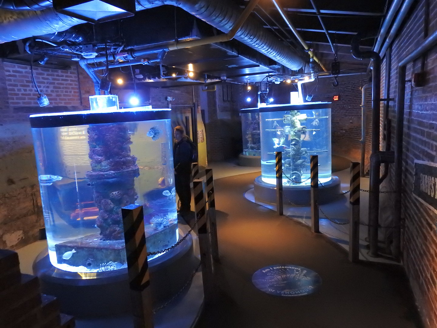 Cylindrical saltwater tanks