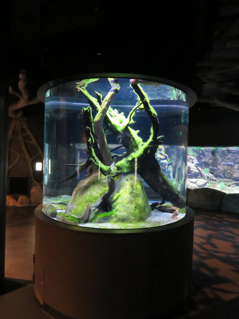 Cylindrical tank in rivers and streams.