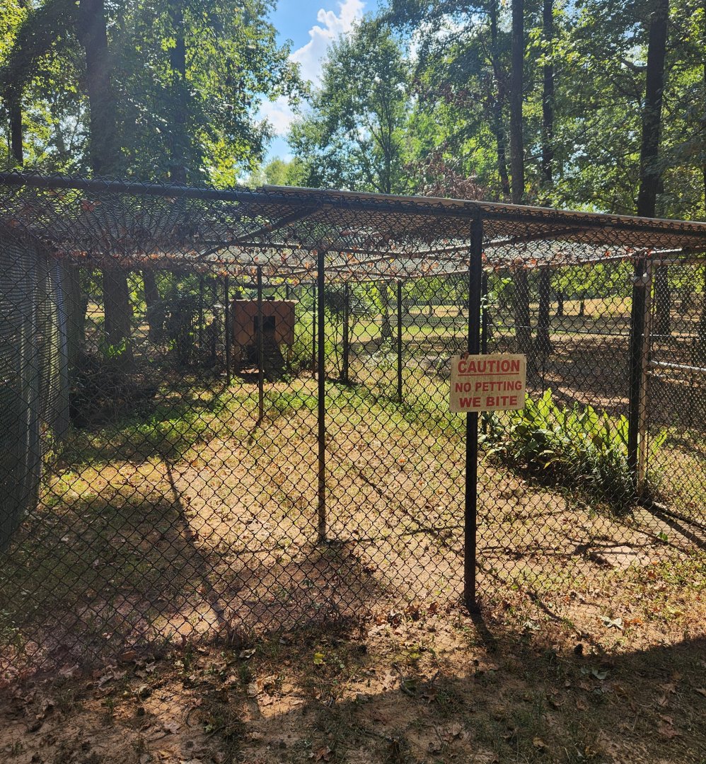 Cypress Black Bayou Park - Gray Fox exhibit