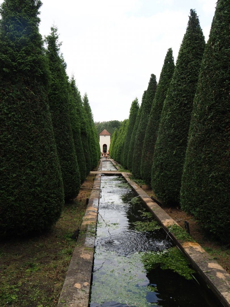 Cypress gallery and pools in gardens (Aug 28th, 2018)