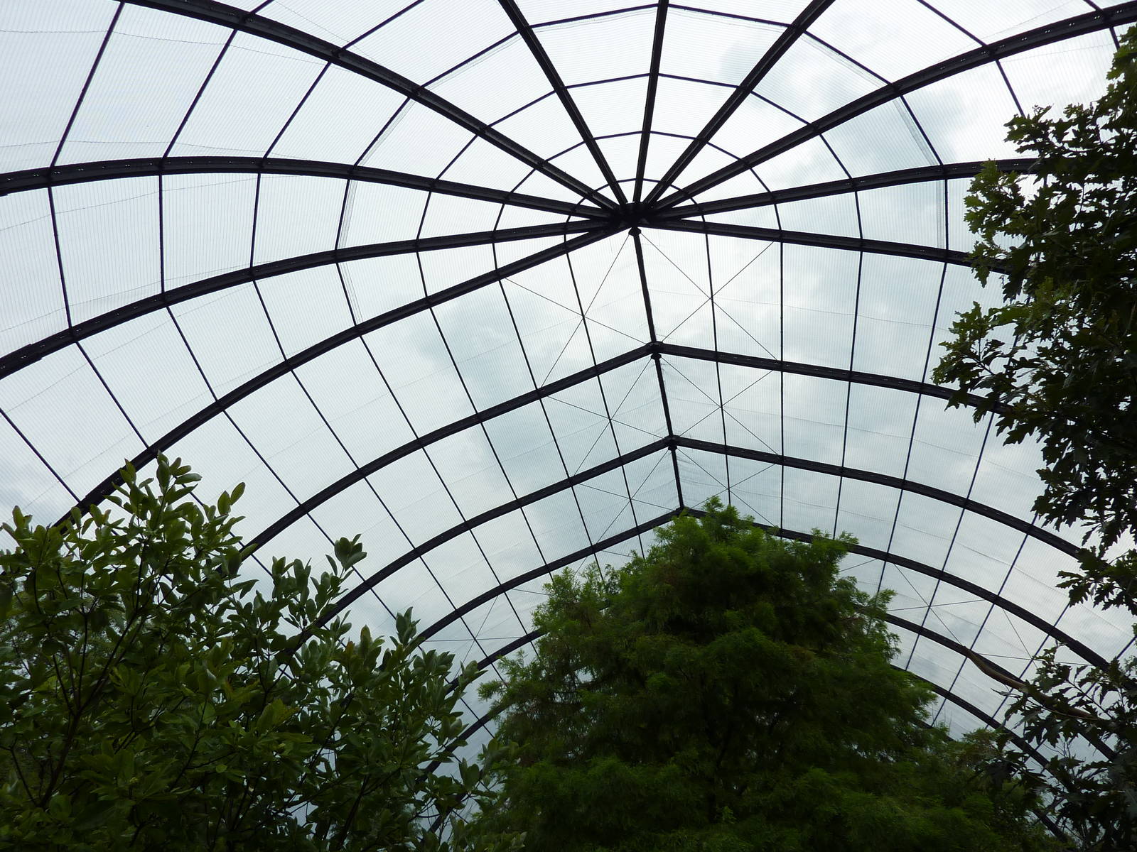 Cypress Swamp - 1904 Flight Cage