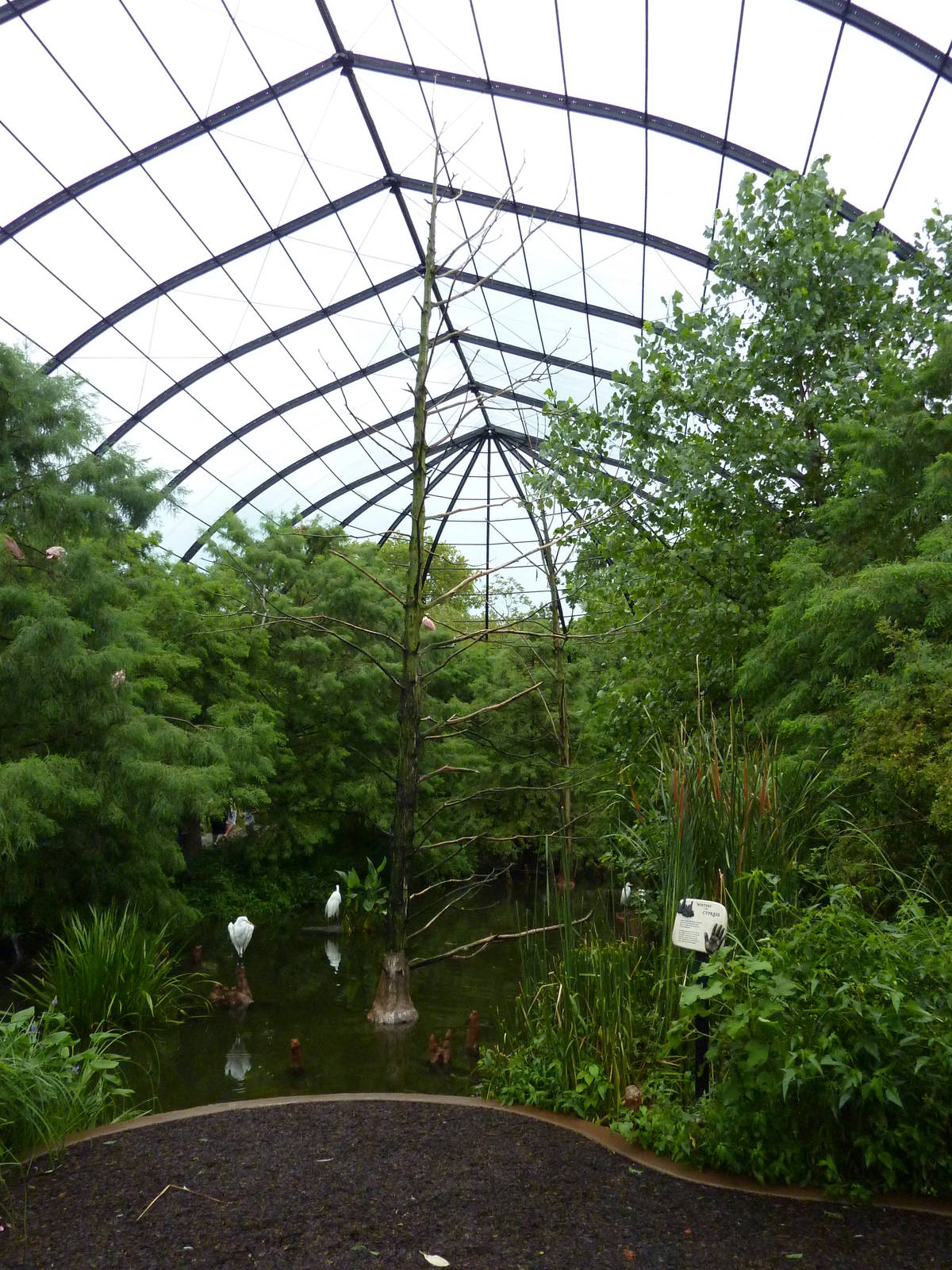 Cypress Swamp - 1904 Flight Cage