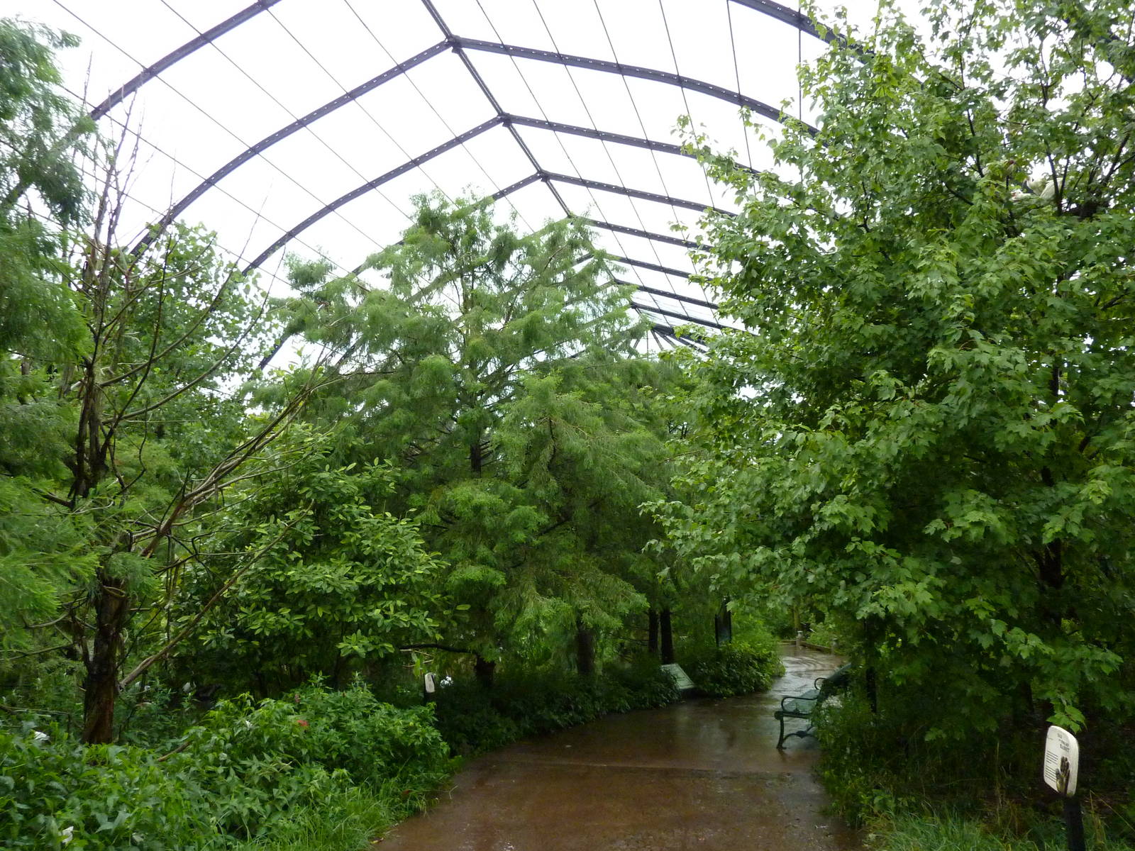 Cypress Swamp - 1904 Flight Cage