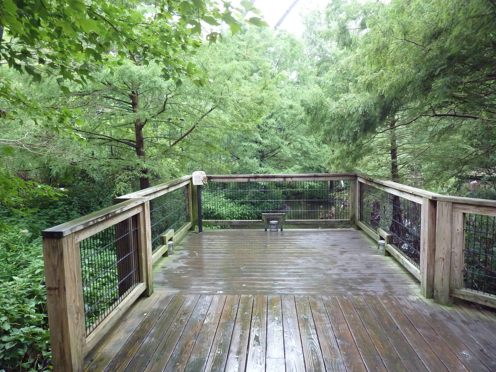 Cypress Swamp (1904 World's Fair Aviary)