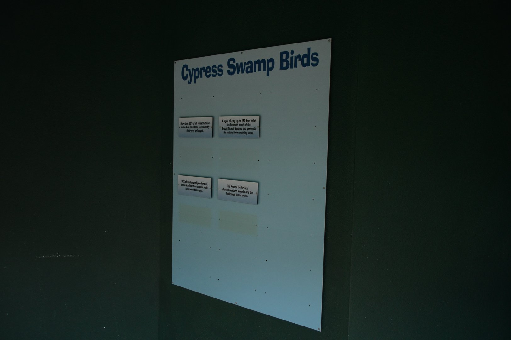 Cypress Swamp - Empty Bird Signage