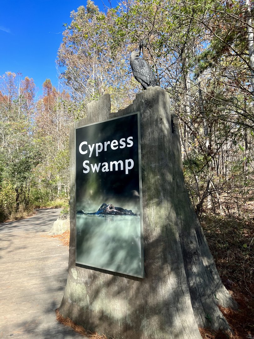 Cypress Swamp Exhibit