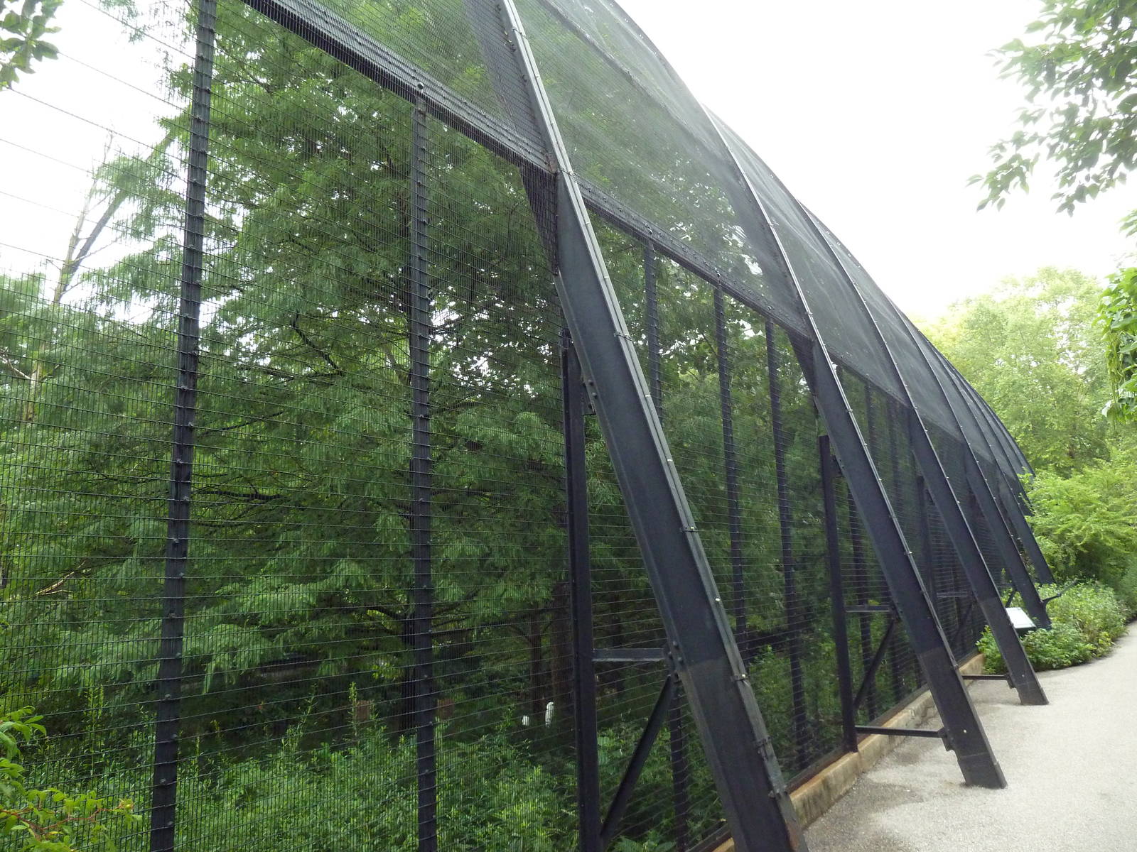 Cypress Swamp Exterior (1904 World's Fair Aviary)