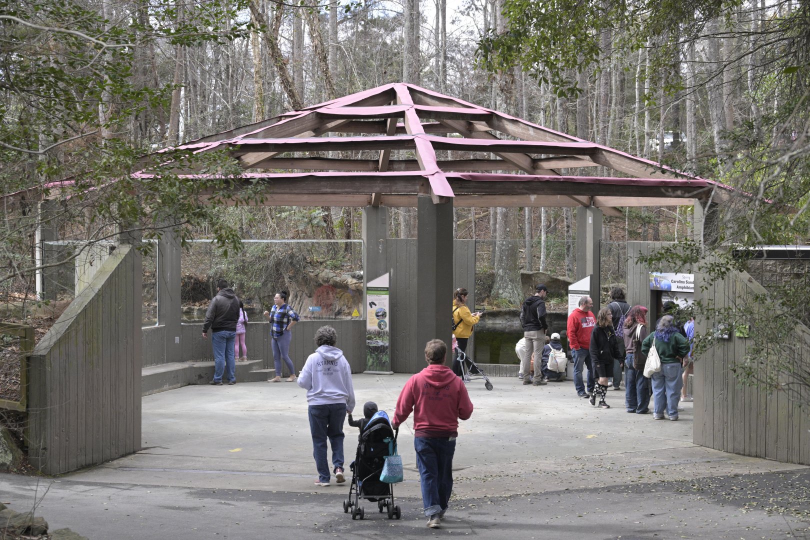 Cypress Swamp - New Look for Wetlands Interpretive Center