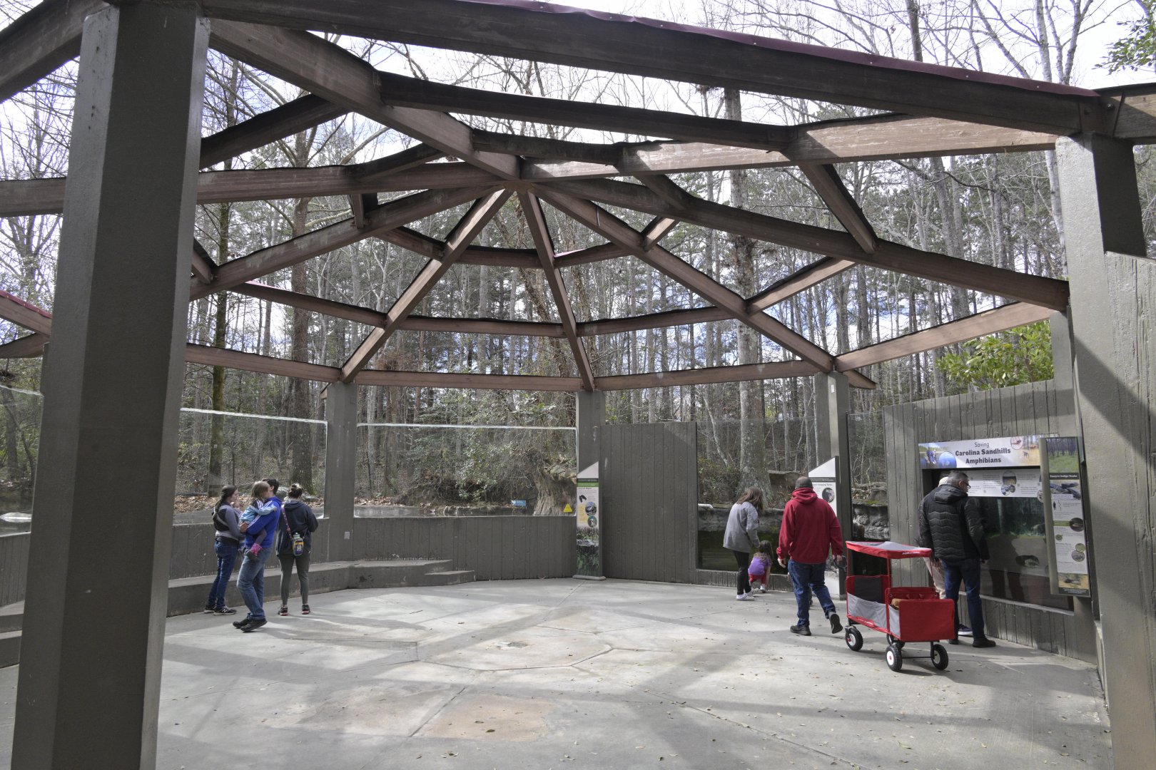 Cypress Swamp - New Look for Wetlands Interpretive Center