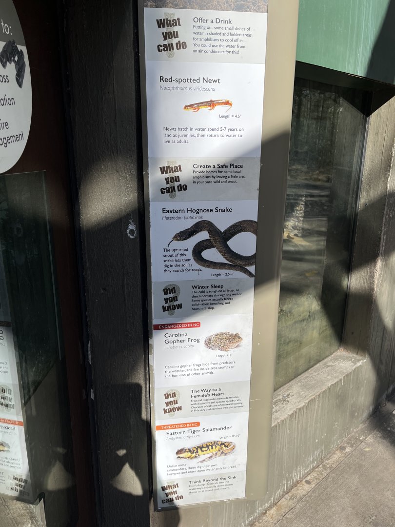 Cypress Swamp-Sandhills Species