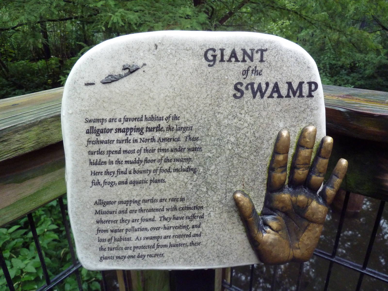 Cypress Swamp Sign (1904 World's Fair Aviary)