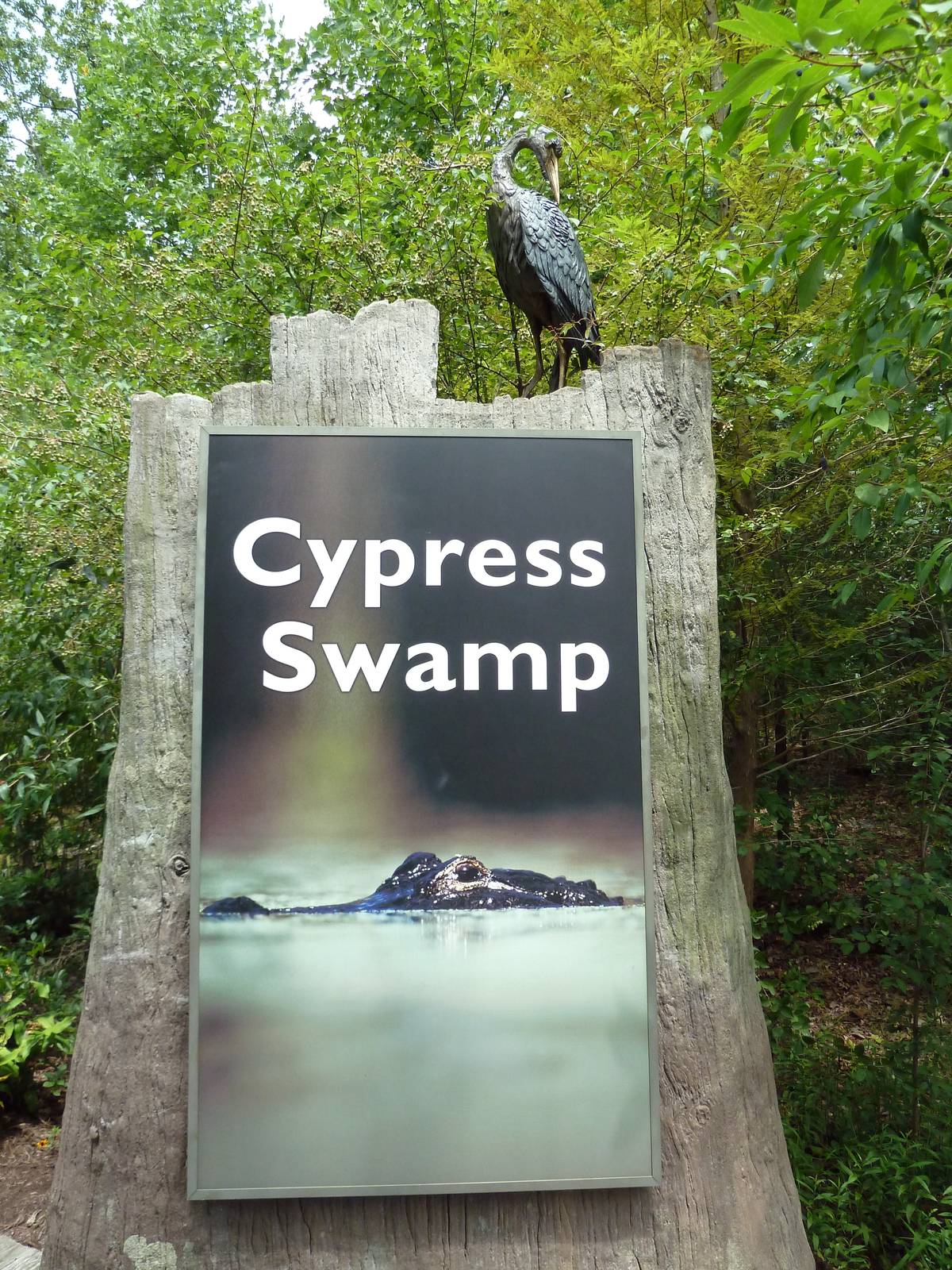Cypress Swamp - Sign