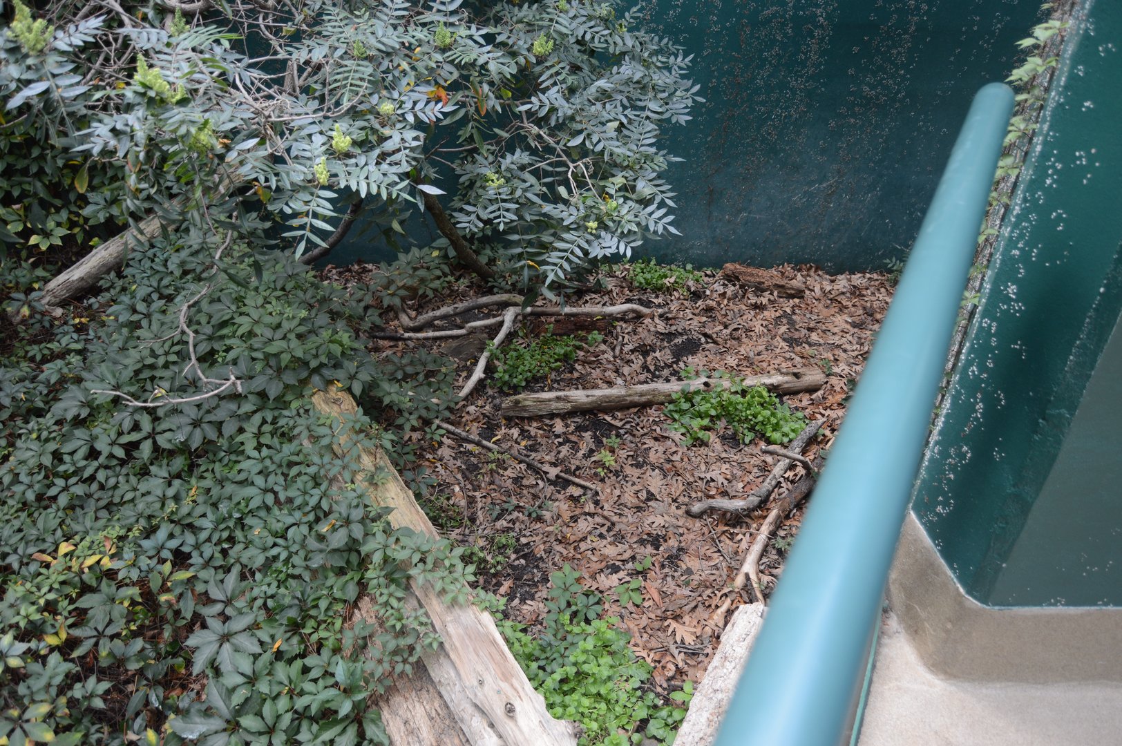 Cypress Swamp Upper Level - Empty Exhibit