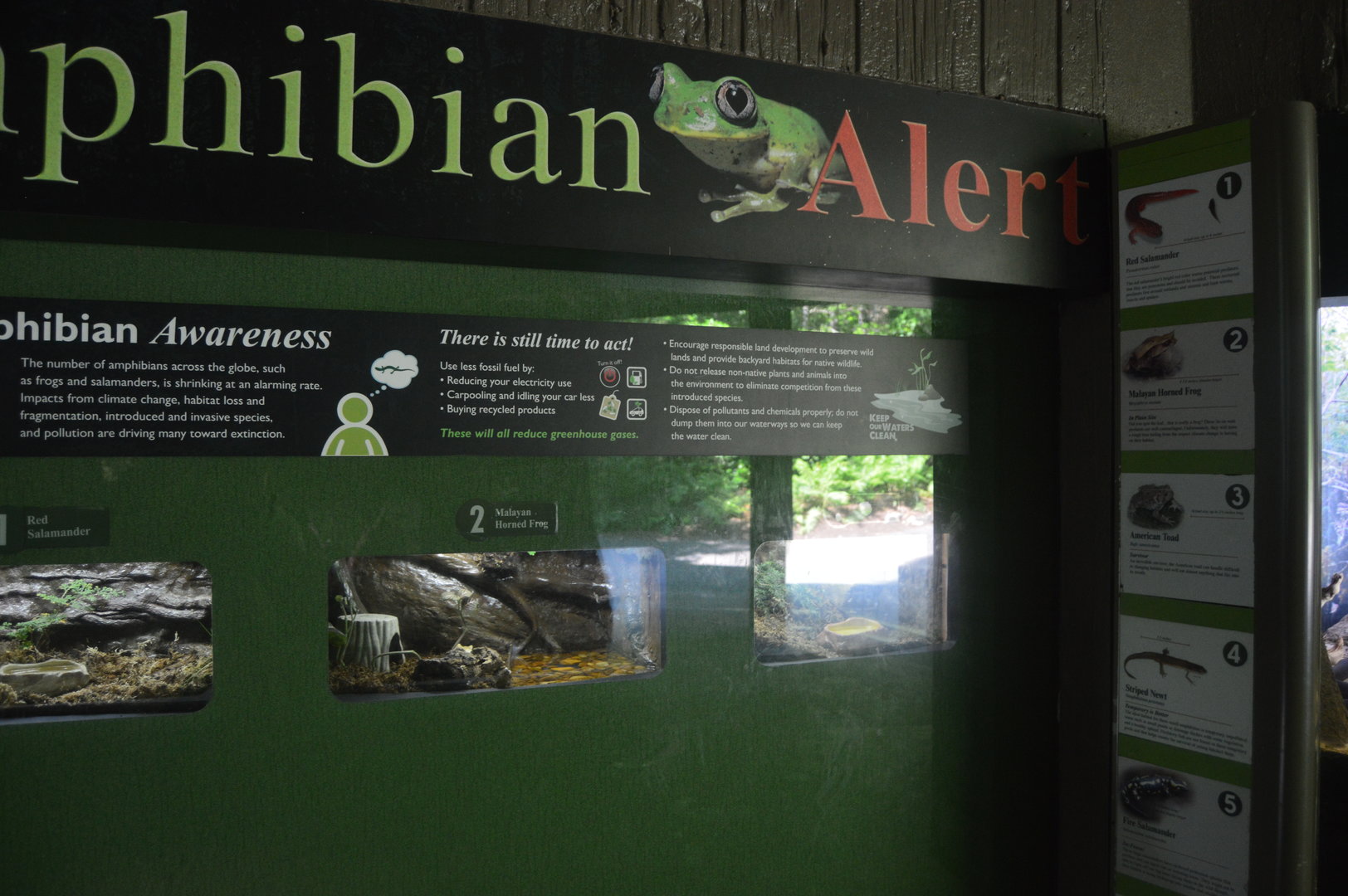Cyrpress Swamp - Amphibian Alert Exhibit (May 2017)
