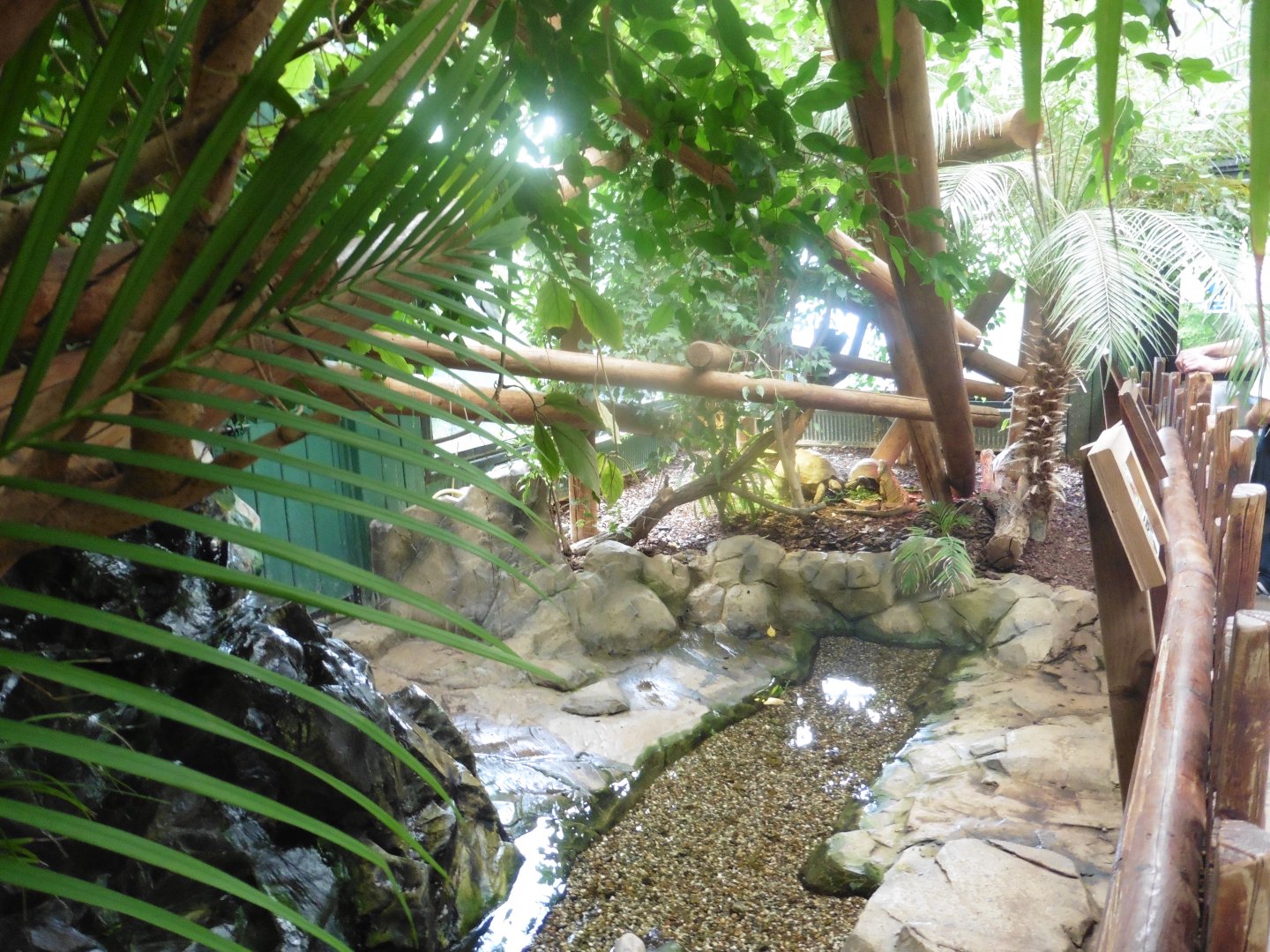 CZ Design: Iguana Forest House