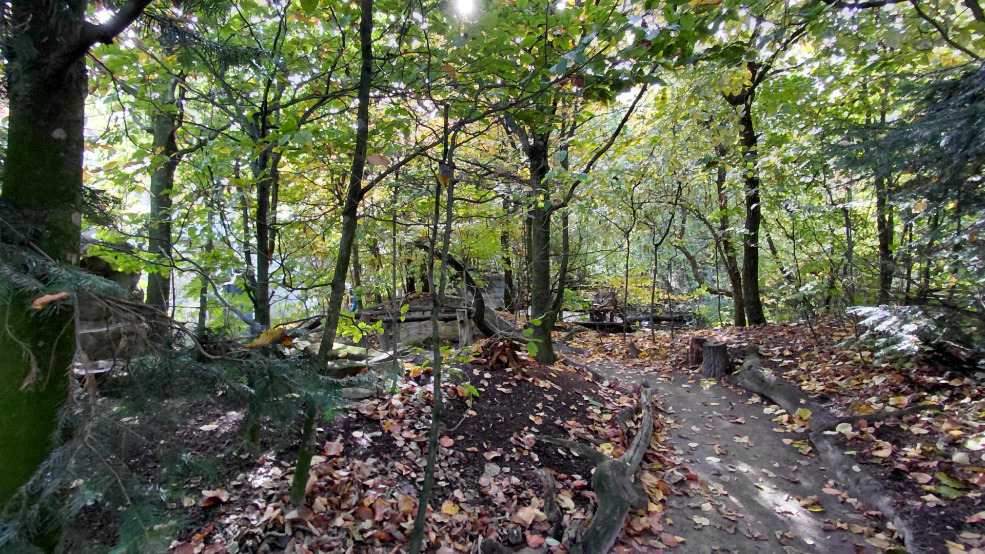 Czech forest - walkthrough aviary