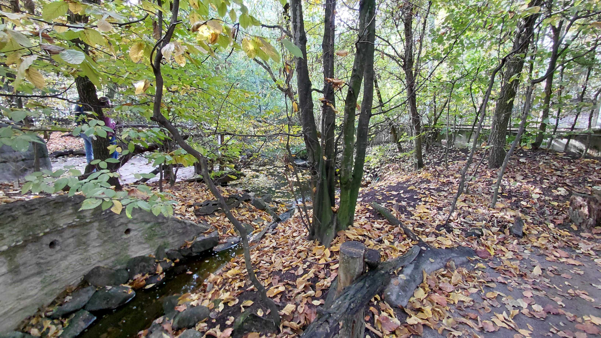 Czech forest - walkthrough aviary