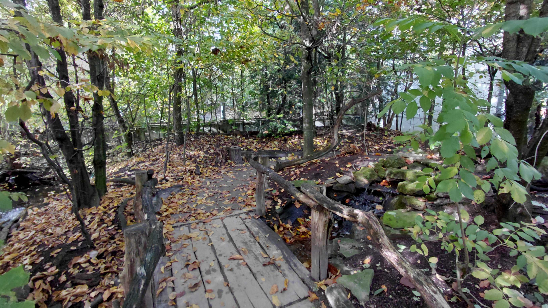 Czech forest - walkthrough aviary