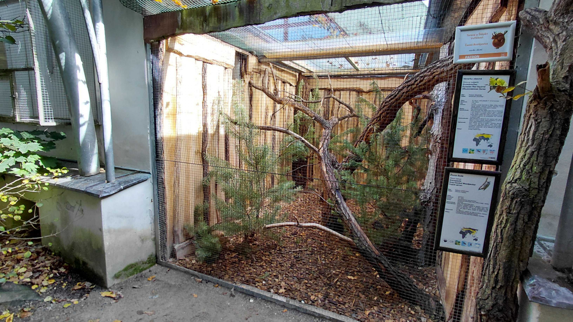 Czech forest - woodpecker+squirrel exhibit