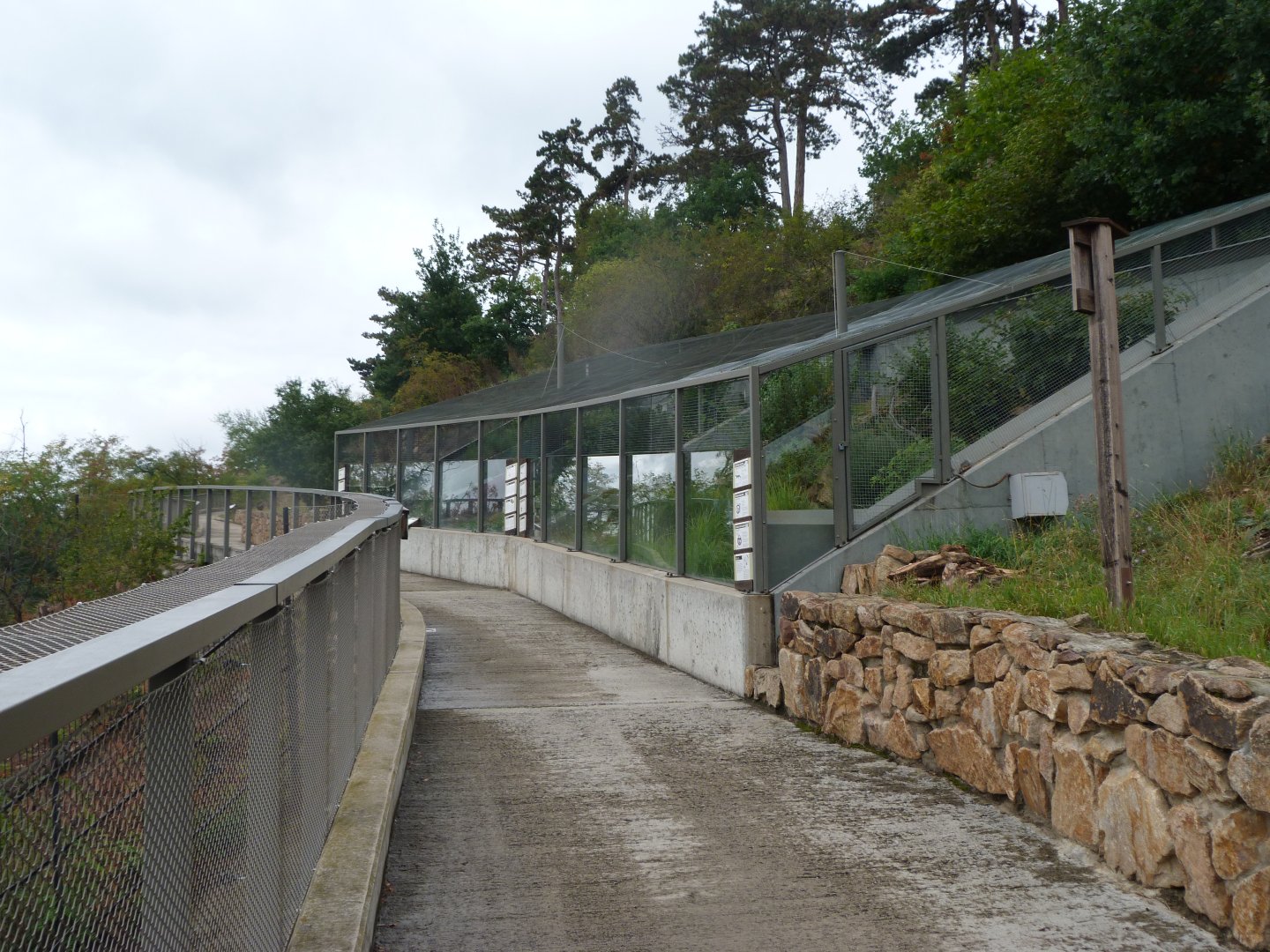 Czech reptiles outdoors exhibits -Zoo Praha (2025)