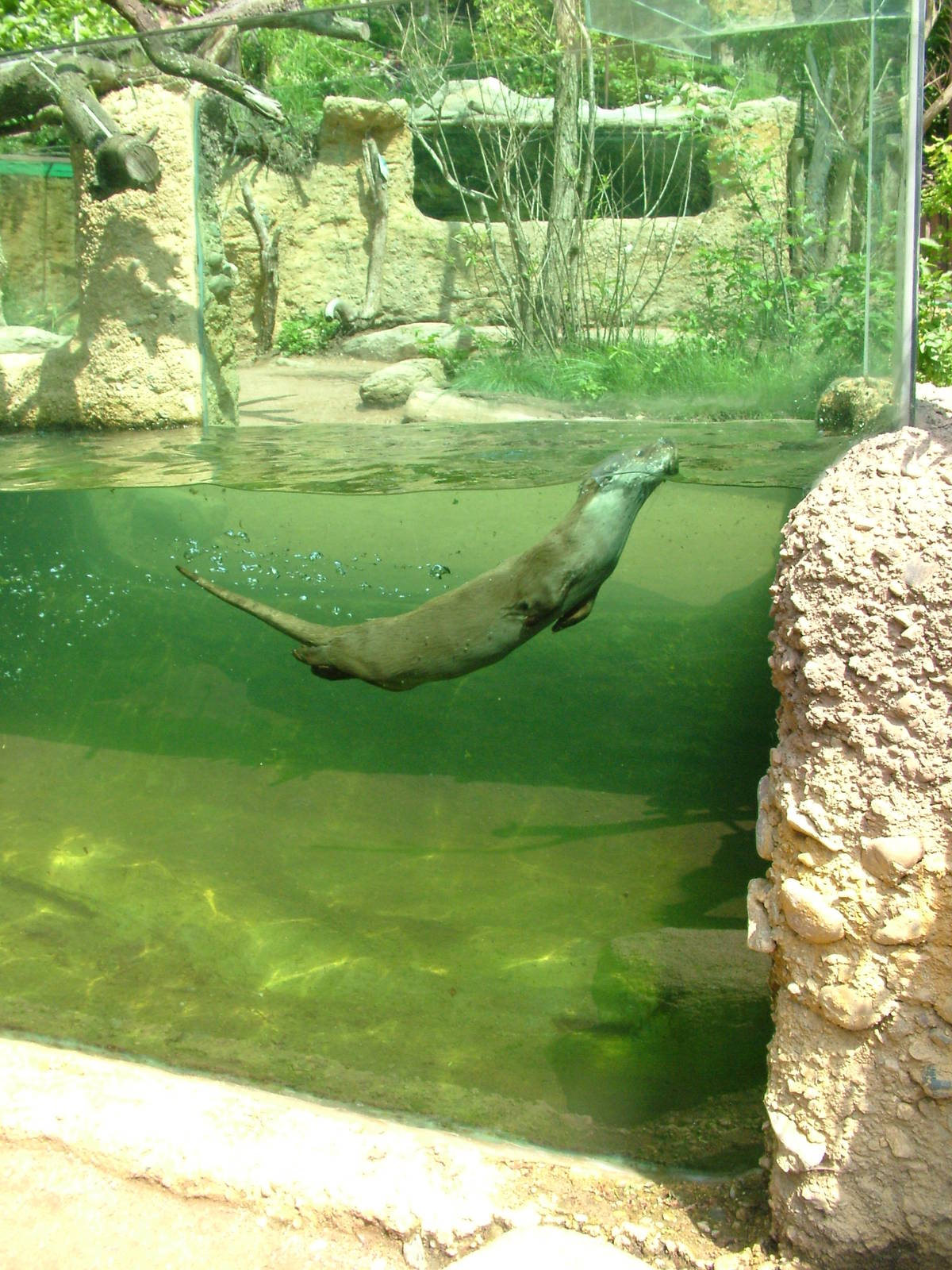 Czech River exhibit at Plzen, 25/05/10